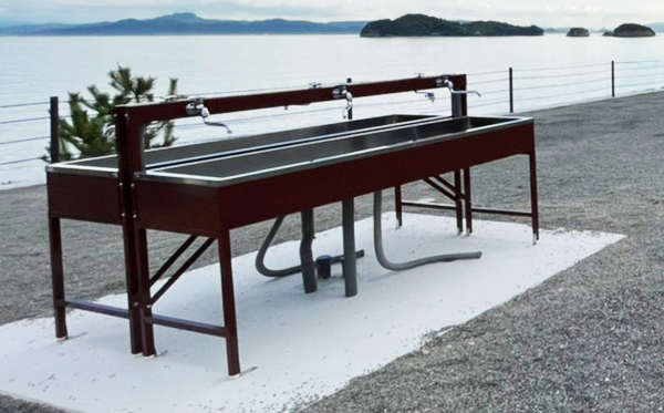 グランピングサイト