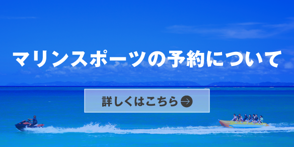 マリンスポーツについて